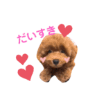 ぽんずとすだち（個別スタンプ：1）