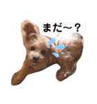 ぽんずとすだち（個別スタンプ：3）