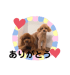 ぽんずとすだち（個別スタンプ：10）