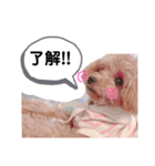 ぽんずとすだち（個別スタンプ：13）