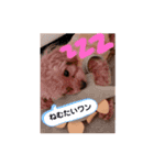 ぽんずとすだち（個別スタンプ：16）