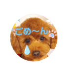花井さんちのルアナ④（個別スタンプ：6）