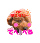 花井さんちのルアナ④（個別スタンプ：14）