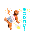 花井さんちのルアナ④（個別スタンプ：16）