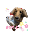 __cocochan（個別スタンプ：1）