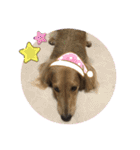 __cocochan（個別スタンプ：23）