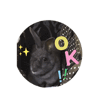チャロだよ♪（個別スタンプ：2）
