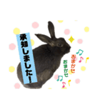 チャロだよ♪（個別スタンプ：16）