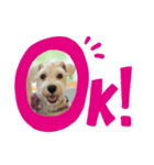 どうも！ぼくです！（個別スタンプ：1）