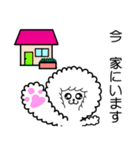 ふわもこワンコ@(家族連絡)毎日使える（個別スタンプ：15）