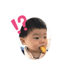はるひないぬみっくす（個別スタンプ：11）