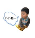 はるひないぬみっくす（個別スタンプ：12）