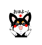 黒チワワの毎日（個別スタンプ：1）