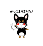 黒チワワの毎日（個別スタンプ：3）