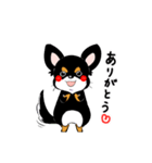 黒チワワの毎日（個別スタンプ：5）