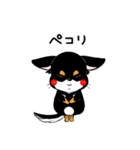黒チワワの毎日（個別スタンプ：8）