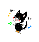黒チワワの毎日（個別スタンプ：12）