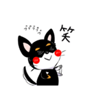 黒チワワの毎日（個別スタンプ：16）