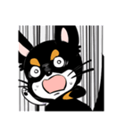 黒チワワの毎日（個別スタンプ：24）