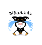 黒チワワの毎日（個別スタンプ：28）