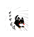 黒チワワの毎日（個別スタンプ：35）