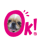 ★つくね★（個別スタンプ：1）