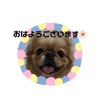 ★つくね★（個別スタンプ：3）