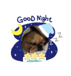 ★つくね★（個別スタンプ：4）