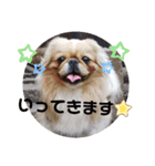 ★つくね★（個別スタンプ：9）