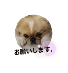 ★つくね★（個別スタンプ：11）