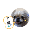 ★つくね★（個別スタンプ：14）