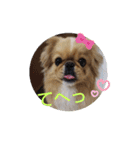★つくね★（個別スタンプ：20）