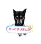 ★つくね★（個別スタンプ：28）