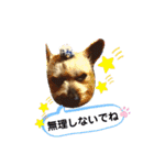 ★つくね★（個別スタンプ：32）