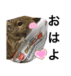 ねずみの仲間たち（個別スタンプ：8）
