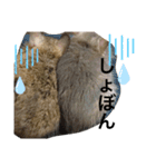 ねずみの仲間たち（個別スタンプ：15）