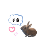 うさぎのmokoちゃん3（個別スタンプ：7）