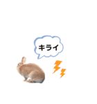 うさぎのmokoちゃん3（個別スタンプ：8）