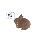 うさぎのmokoちゃん3（個別スタンプ：18）