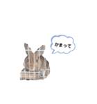 うさぎのmokoちゃん3（個別スタンプ：27）