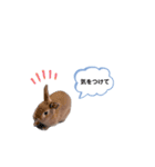 うさぎのmokoちゃん3（個別スタンプ：32）