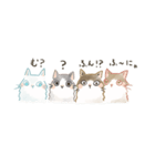 ノル猫たちの楽しい毎日（個別スタンプ：2）