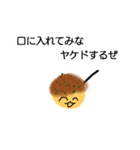 ぽこぽこ村の未確認生物（個別スタンプ：4）