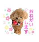 ポコちゃん日常スタンプ（個別スタンプ：20）