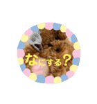 ポコちゃん日常スタンプ（個別スタンプ：37）