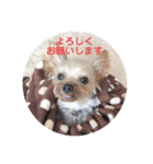 クッキー！！と仲間たち（個別スタンプ：2）