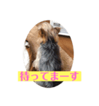 クッキー！！と仲間たち（個別スタンプ：7）