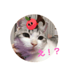 禅ちゃんの日常Part2（個別スタンプ：3）