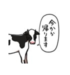 しゃべるウシ（個別スタンプ：37）