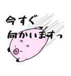トンちゃんの日常会話（個別スタンプ：13）